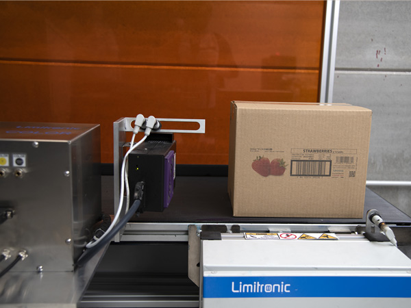 impresion-en-linea-en-cajas-carton